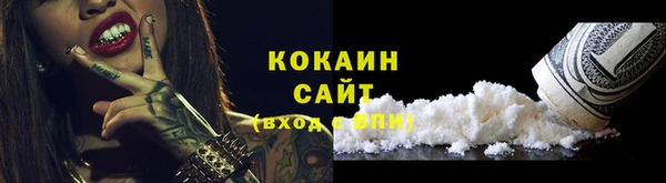 ПСИЛОЦИБИНОВЫЕ ГРИБЫ Няндома
