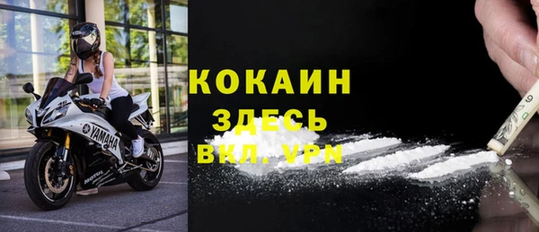 крисы Алзамай