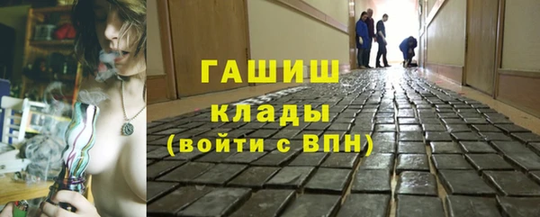 крисы Алзамай