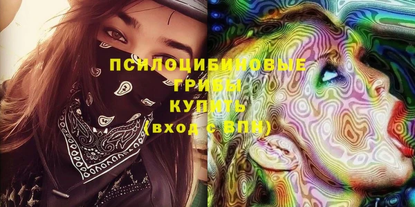 твердый Алексеевка