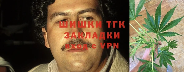 крисы Алзамай