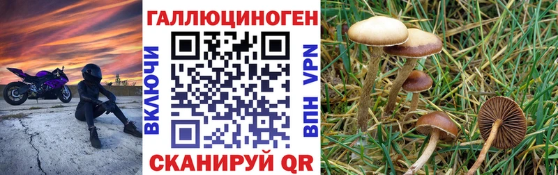 Псилоцибиновые грибы прущие грибы  Дудинка 